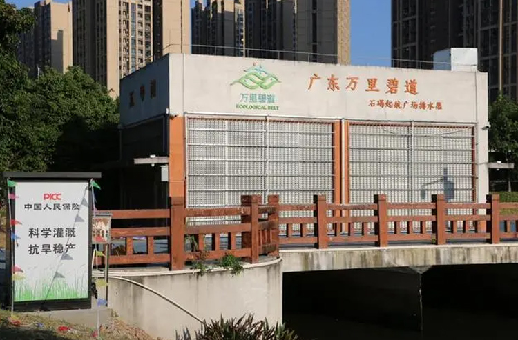 保险公司新举措：建泵站促粮食稳定增产